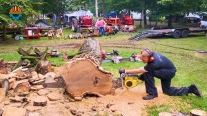 99 Incredible Dangerous Fastest Big Chainsaw Cutting Tree Machines