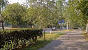 Ореховый проезд (Москва)