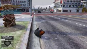 52944 \ 20402 \ 10:40 20.09.2024