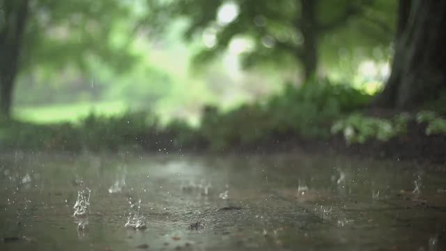 Классическая музыка | Фортепиано | Вальс дождя | Музыка Ярослава Никитина | Релакс