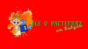 Всё о растениях для детей и их родителей
