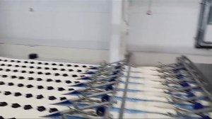 VID-20240807-WA0017