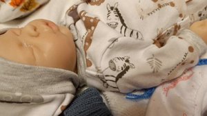 вечер с силиконовой двойней