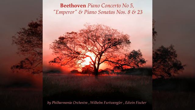 Piano Sonata No. 23 in F Minor, Op. 57 "Appassionata": II. Andante con moto смотреть онлайн