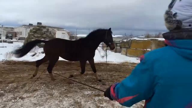 Фанданго смотреть онлайн