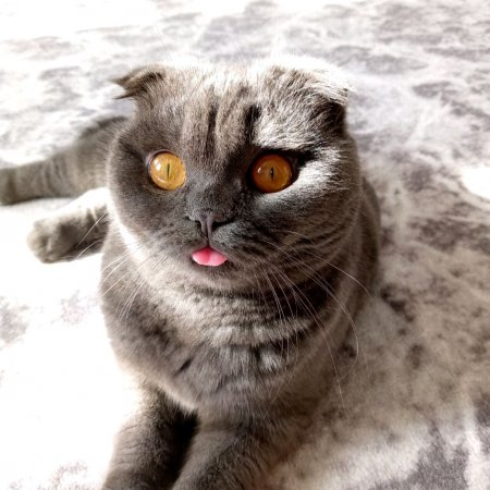 моя любовь ❤️