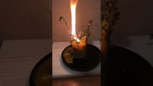 Прожигаю свечу с сушеной астрой