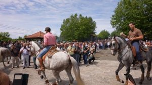 BENÇÃO DOS ANIMAIS - SANTO ANTÓNIO DE MIXÕES DA SERRA VALDREU - VILA VERDE - 11 JUNHO 2023