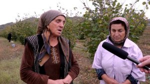 Шуьмягърин бул бегьерар кIватIзава.