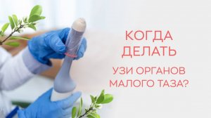 ✔️📅 В какие дни менструального цикла нужно делать узи органов малого таза?