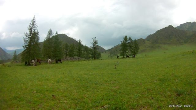 Алтай на конях 2022 - 4 смотреть онлайн