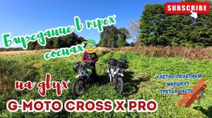 🔴Блуждание в трех соснах на G-Moto Cross X PRO🛵Третья часть улётно-полётного маршрута.