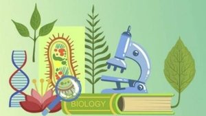 Биология 6 класс. Среда обитания.