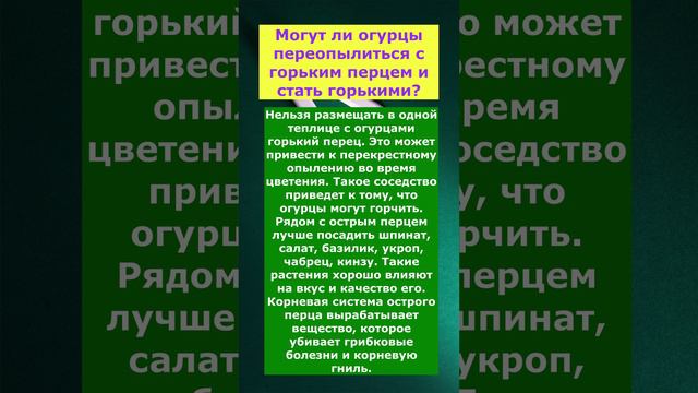 а вы знаете что огурцы могут переопылится с горьким перцем