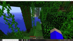 Проверка сида Ентити303