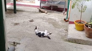 ANO NANAMAN YAN TOMAS..