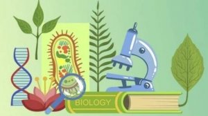 Биология 6 класс. Природные сообщества.