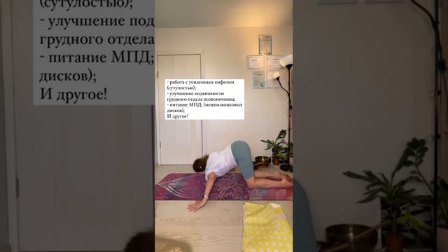 Йогатерапии «Осанка, работа с грудным отделом позвоночника»