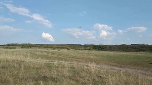 Самолёт, дельтоплан - что это? Летает и подсматривает за всеми. Ужас!