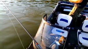 Рыбалка по плану !!! Окунь зверюга тянет под лодку.