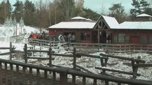 Паровозик вокруг Диснейленда, Франция, Париж