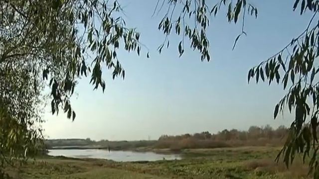 Невеста Христова Преподобная Манефа Гомельская. Документальный фильм. 2008 г. смотреть онлайн