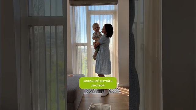 Материнство — это прекрасно #shorts #дети #детскиетовары смотреть онлайн