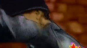 152 Любэ   Не валяй дурака, Америка