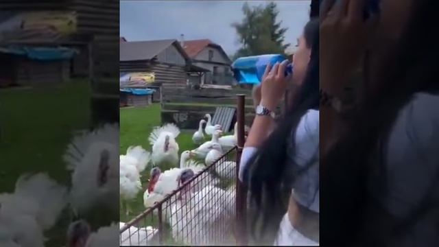 Нашли общий язык смотреть онлайн