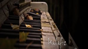 imamyar hasanov - dilbərim