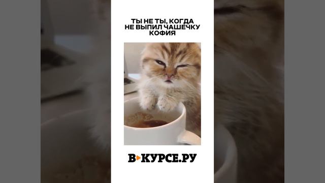 ВЕЧЕРНЕЕ ВЕСЕЛОЕ