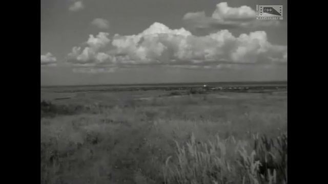 Освобождённая земля (1946)