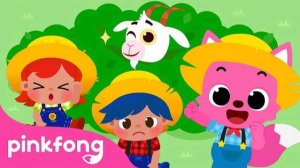 Come Out, Little Goat | Outdoor Songs | Spanish Nursery Rhymes in English | Pinkfong