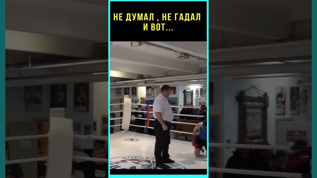 Отработал комбинацию 10000 раз! Боксер отправляет в нокаут изящной тройкой. Браво!