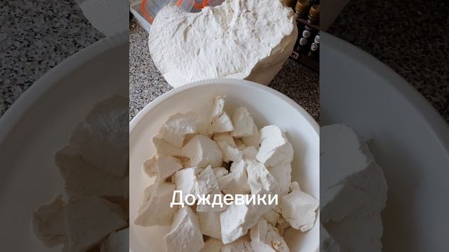 Огромный дождевик.