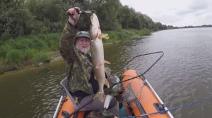 Монстр щучара больше 4кг.