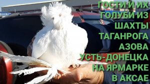 Гости и их голуби из гг.Шахты, Азов, Усть-Донецкий и Таганрог на ярмарке в Аксае.