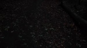 подпишись на милс play трейлер фильма срочно 911