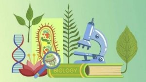 Биология 7 класс. Класс Хрящевые рыбы.--