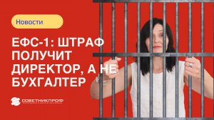 ЕФС 1 штраф получит директор, а не бухгалтер