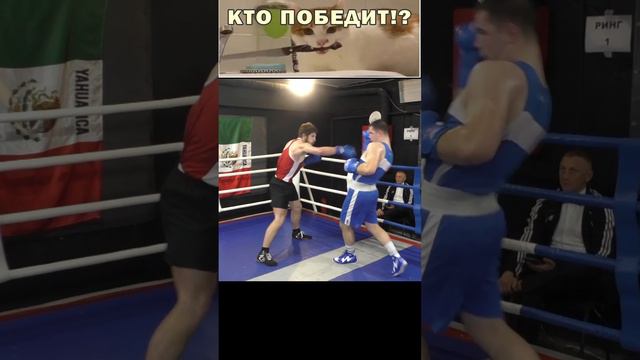 Два воина в скользком ринге! Боксеры будут сражаться не только с соперником , но и с природой!