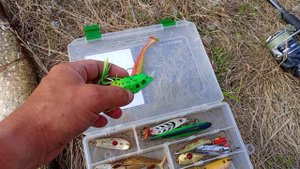 Поппер смог