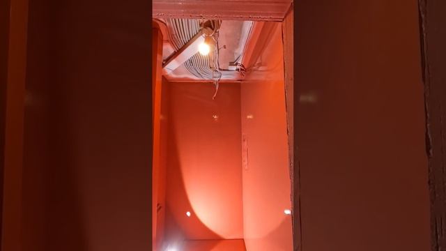 Окраска стен АВД #спб смотреть онлайн