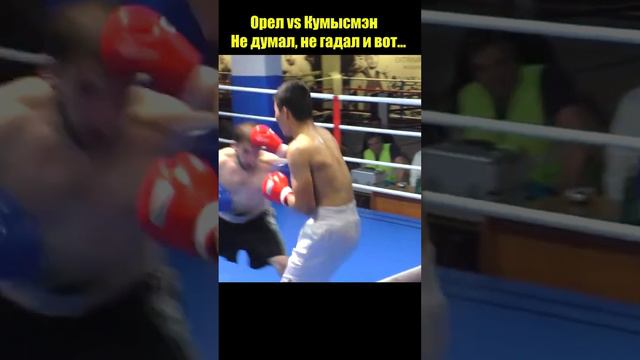 Финал! Кумысмэн VS Орел! Боксеры , знатно зарубились! Будет нокаут или судейский беспредел?