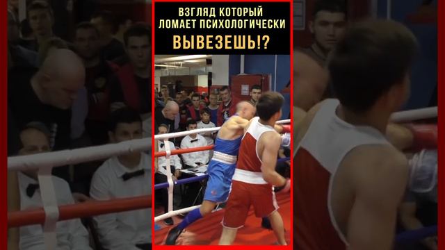 Родился чемпионом! Боксер подавляет всех в радиусе 2 км от себя! Нокауты , нокдауны в его ДНК!