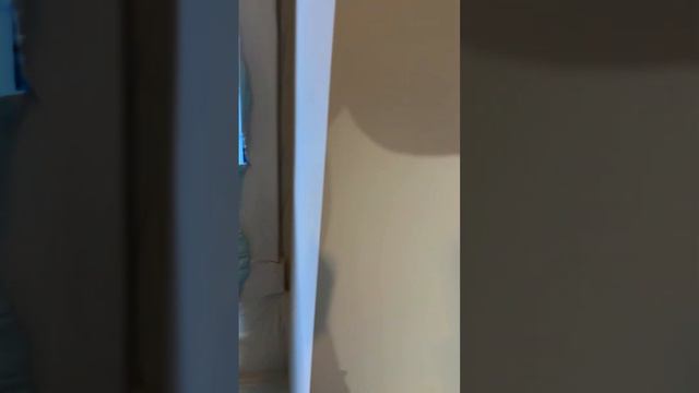 На сухую покраска результат #спб смотреть онлайн