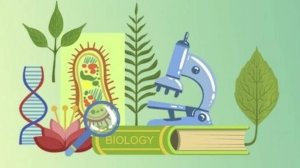 Биология 5 класс. Строение бактерий--