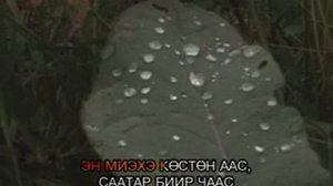 Эн миэхэ костон аас