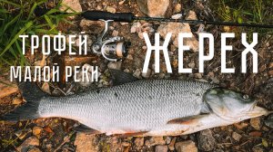 ЖЕРЕХ на ВОБЛЕРЫ И БЛЕСНЫ! ТРОФЕЙ малой реки. РЫБАЛКА на ультралайт и лайт СПИННИНГИ.
