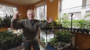 Все секреты теплицы из агрочехлов. Важно качество.